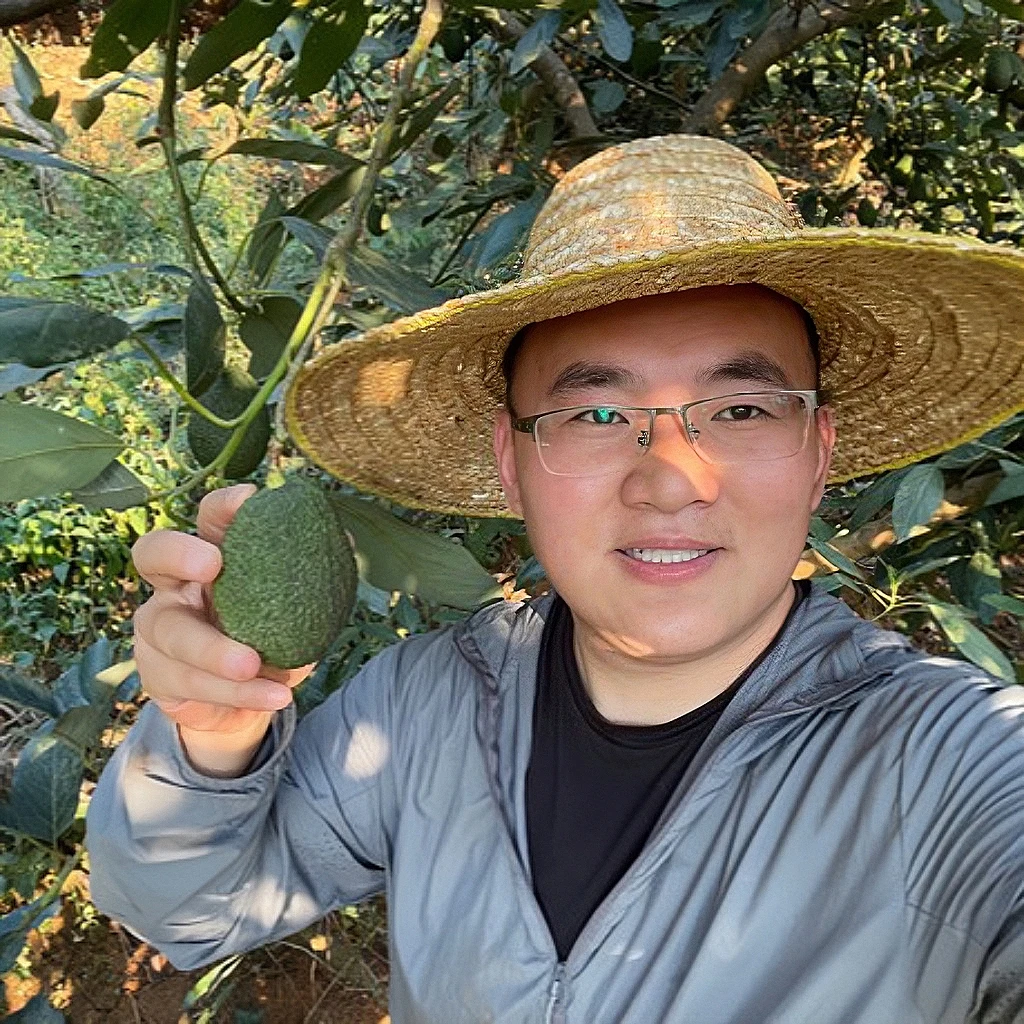 【顺丰催熟后食用】国产云南哈斯牛油果 有花皮正常不影响 6/8枚装