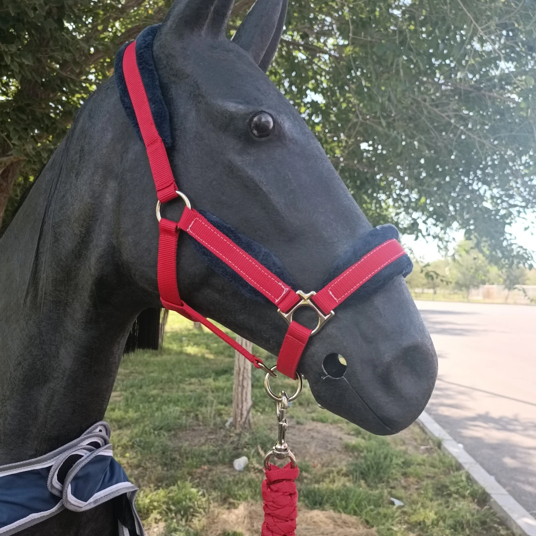 马术用品/防磨马笼头牵马绳一套马缰绳马具用品马头
