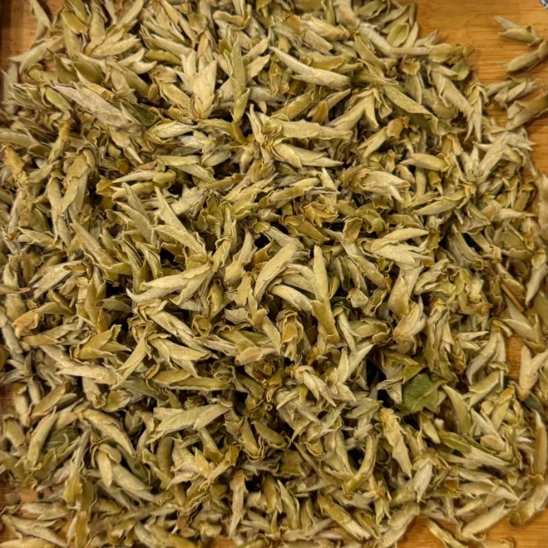 2025头春头采云南保山龙陵高黎贡山白龙芽（芽苞）