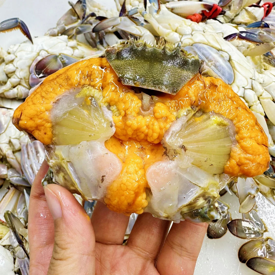 断痒三点红满黄三斤起仅限沈阳【保鲜不保活】一只3两左右 易断腿