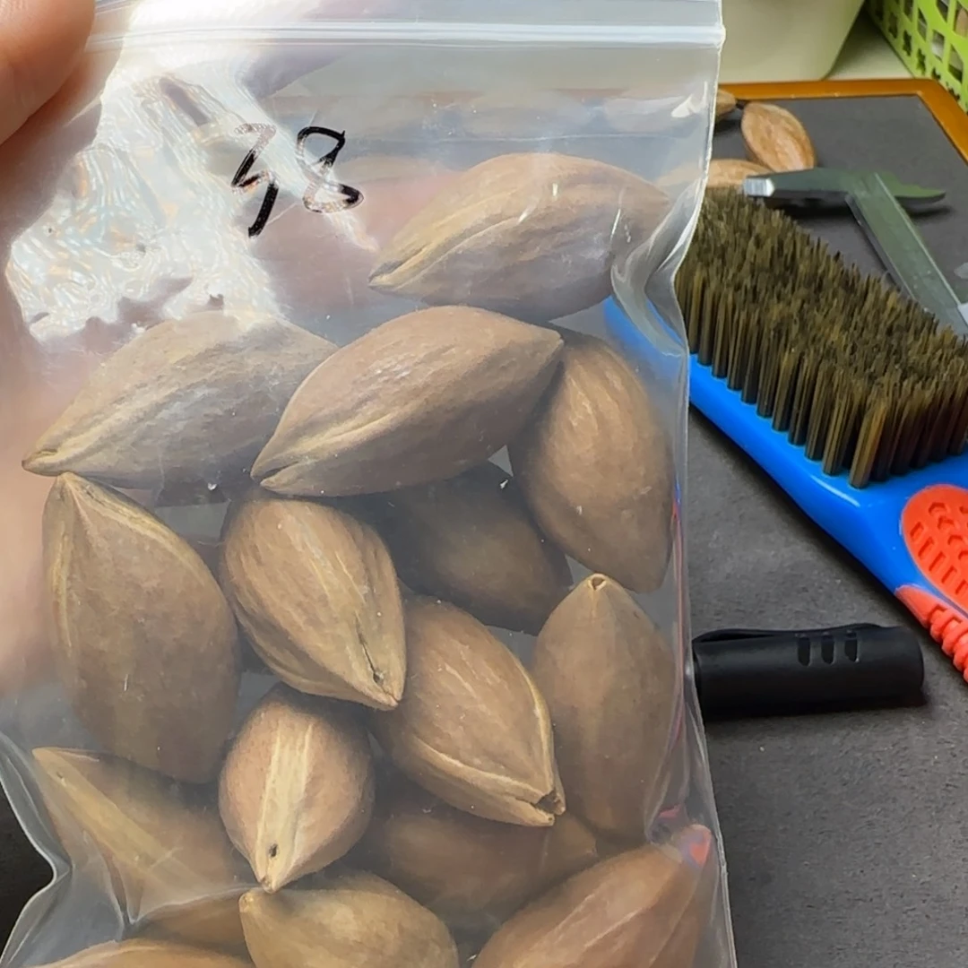 【闪购商品】橄榄核手串/手链橄榄核素核