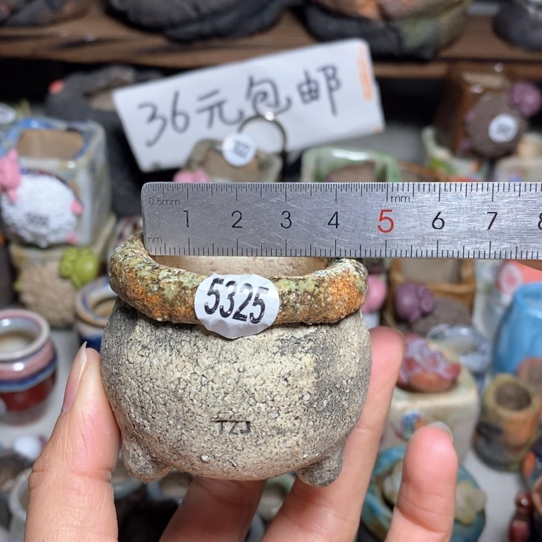 拍3送一个小礼物