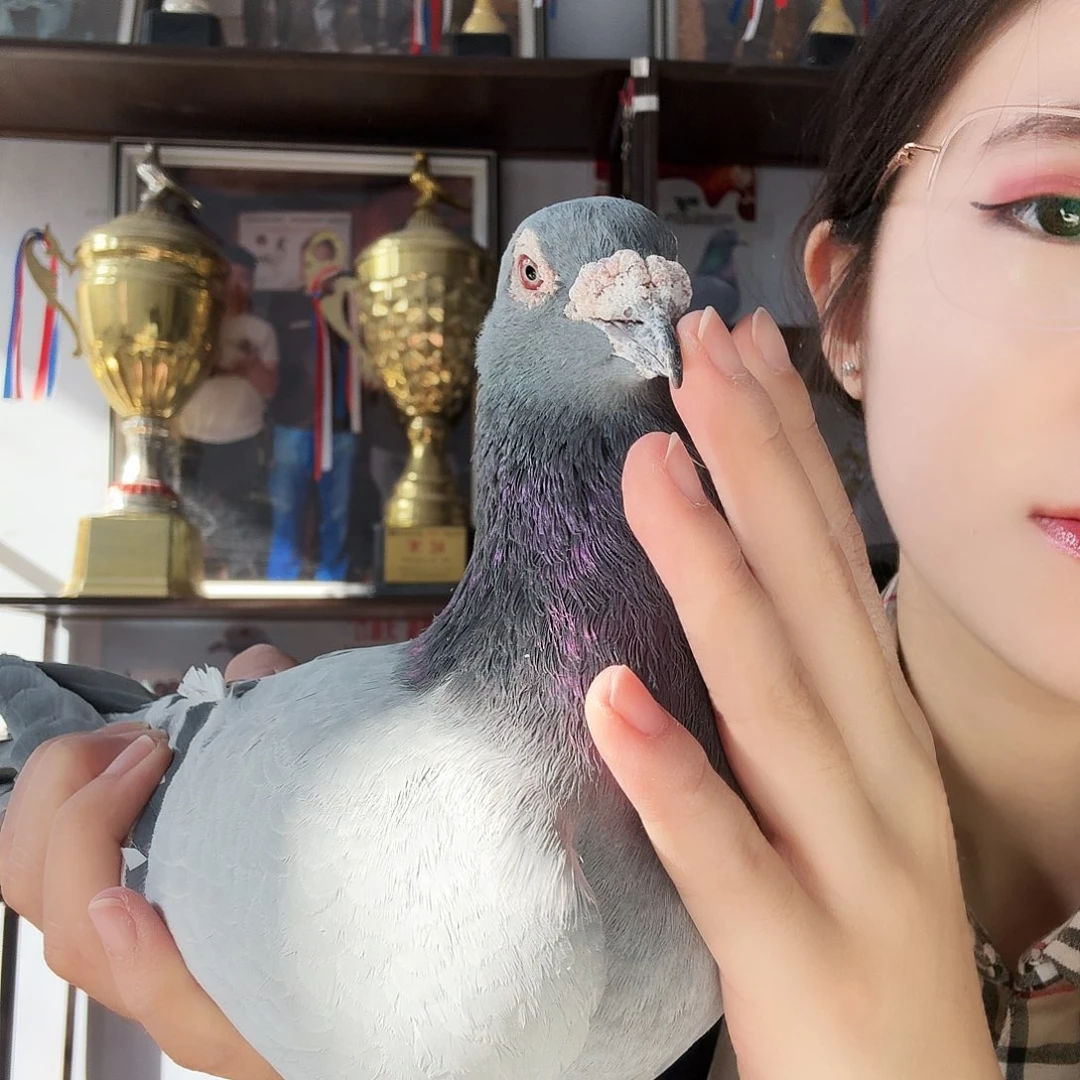 刘***军8中国大陆肉类包邮到家