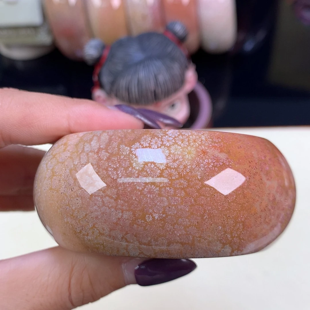 【闪购商品】颈饰未镶嵌硅化珊瑚（珊瑚玉）上新镯饼54以下可做（48号）