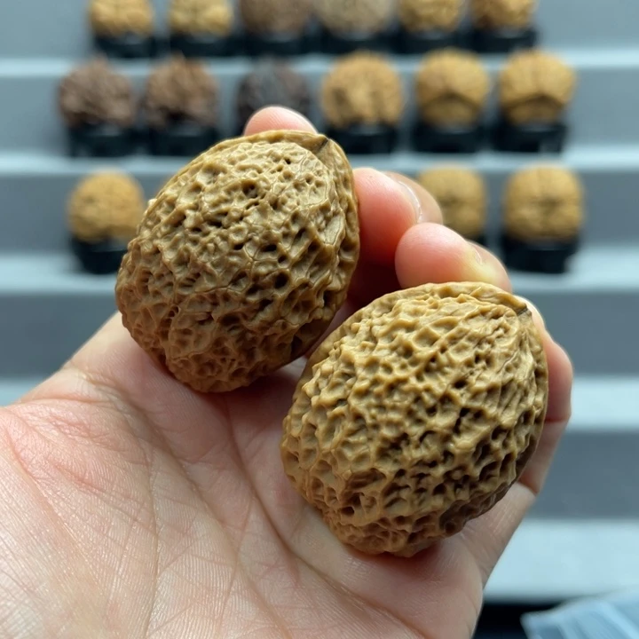 把件文玩核桃20-20