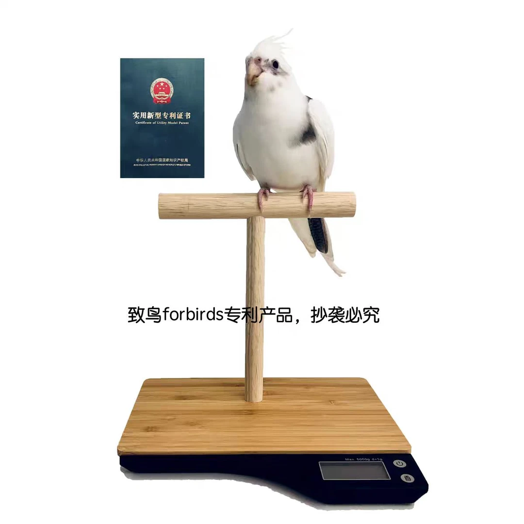 鹦鹉用鸟用体重秤站杠电子秤宠物体重秤站架【致鸟forbirds专利】