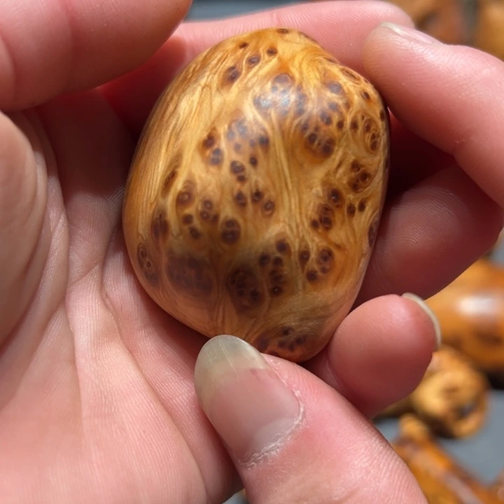 柏木（崖柏）点点关注