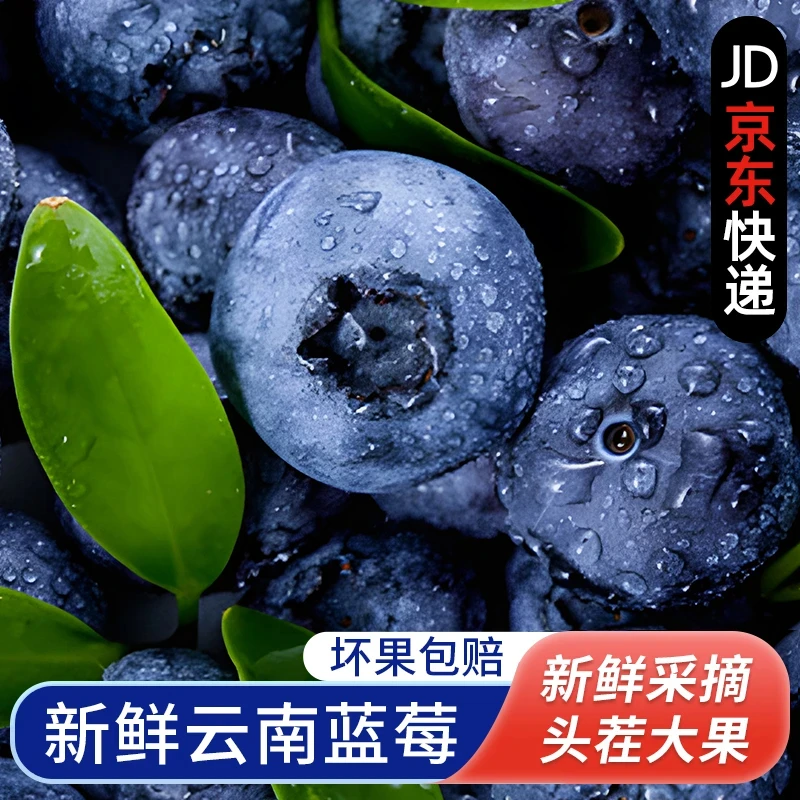 S2【顺丰/京东】云南花香大蓝莓新鲜现摘现发应季水果脆甜12-27mm