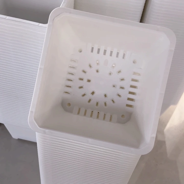 白方口15高11一组20个