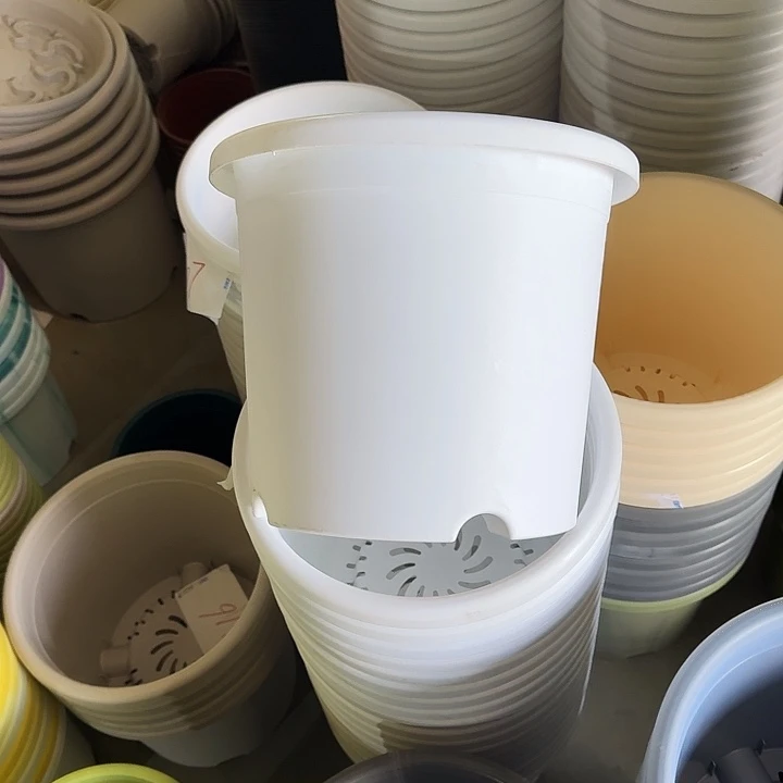 四季5#口径29白色10个无托