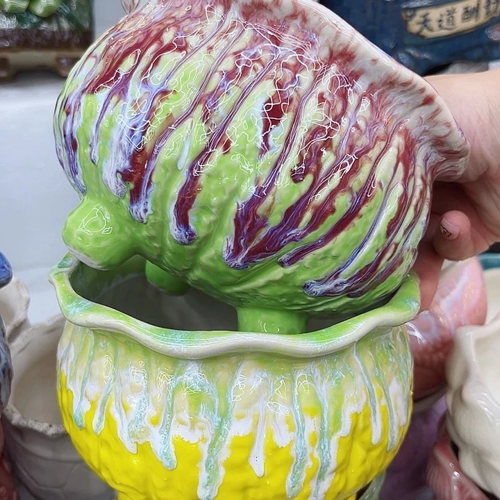 多肉植物陶瓷花盆