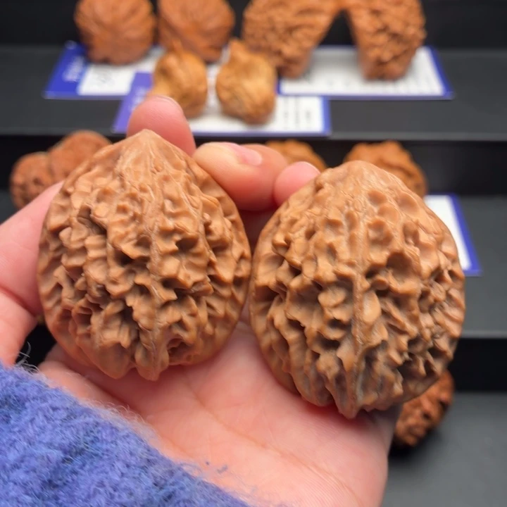 核桃全品招财鼠41尺