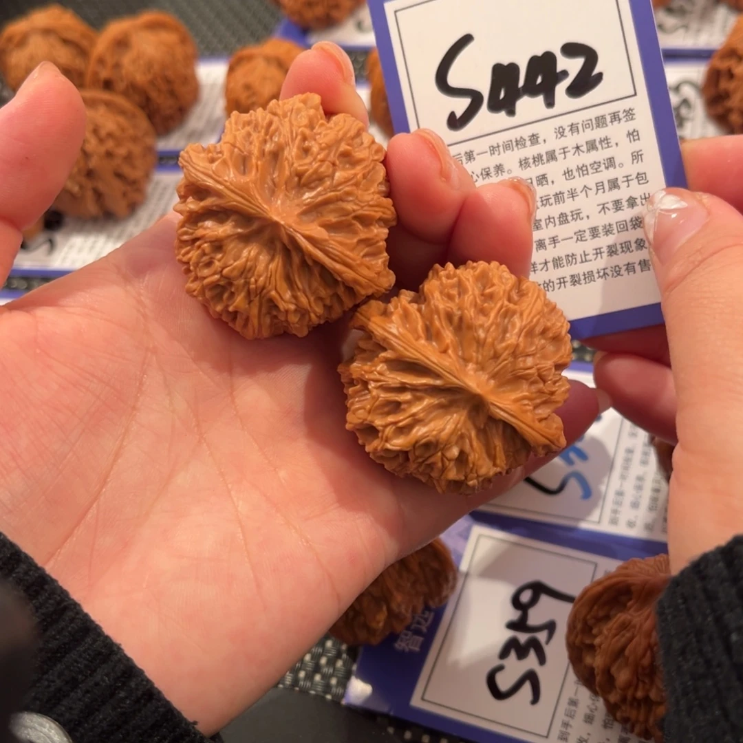 核桃S442号苹果园43尺