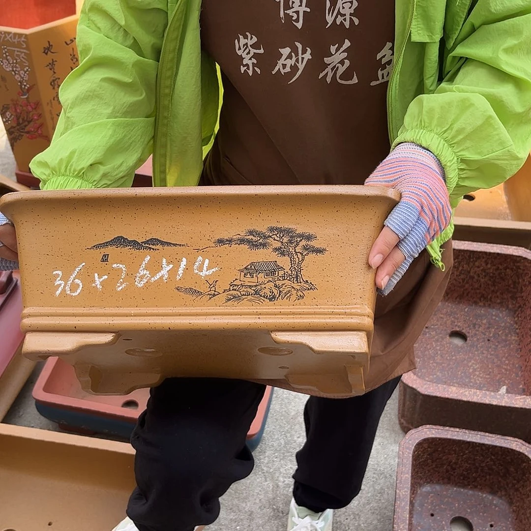 紫砂花盆盆景艺术