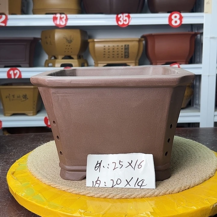 紫砂花盆蛇年大吉