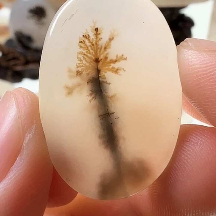 玛瑙/玉髓未镶嵌珠宝半成品