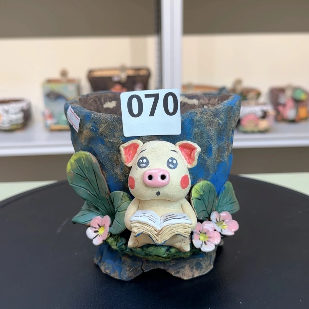 070 【闪购】多肉花盆