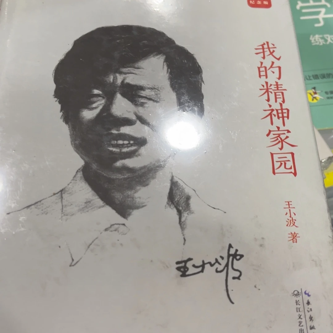 我的精神家园精装一个