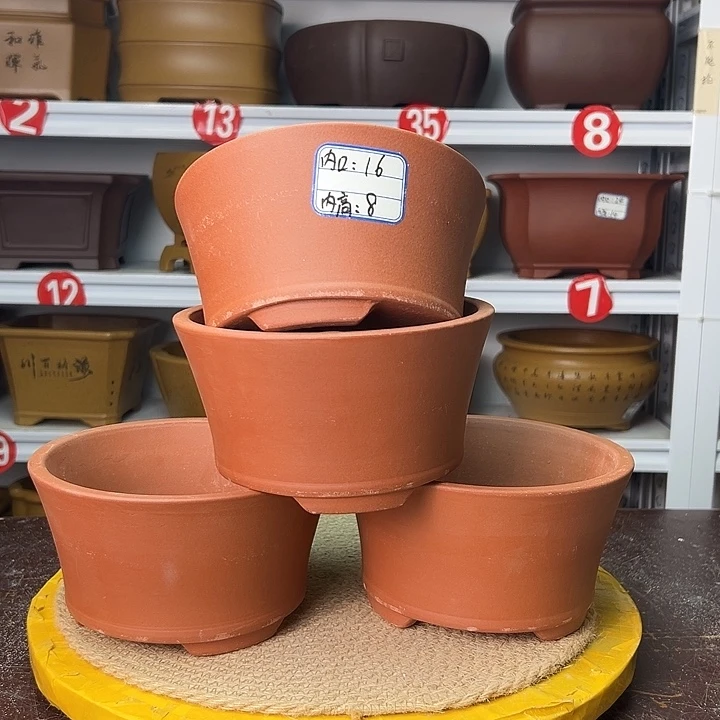 紫砂花盆你在一起