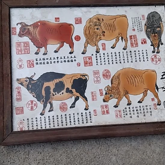 开***人瓷器鉴定完毕之后