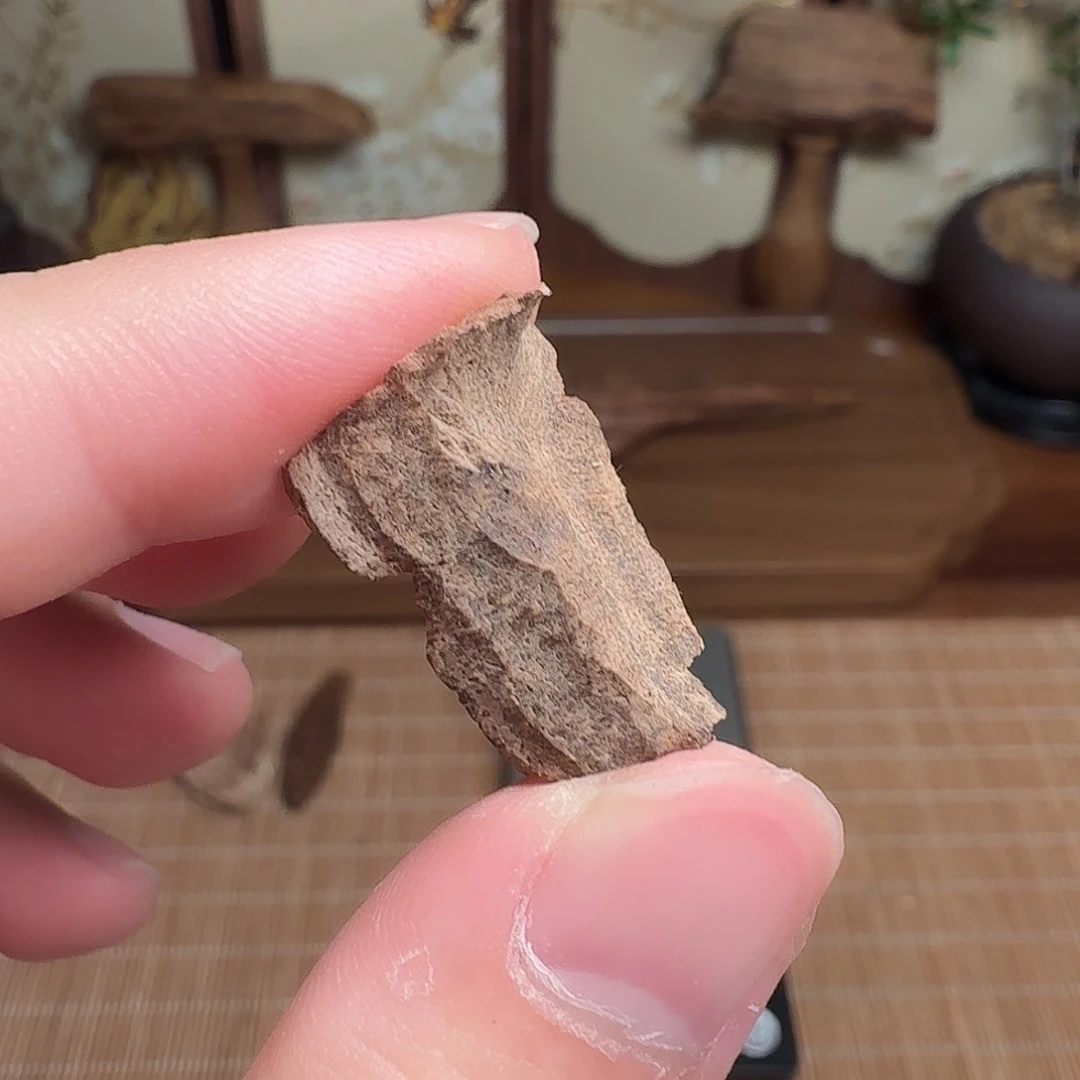 沉香0.78g印度熟结老料