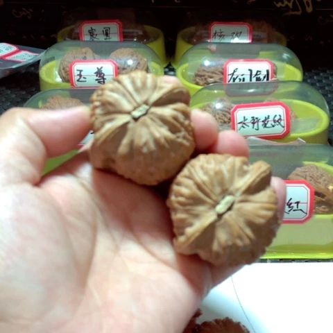 吊坠文玩核桃货头墩煌单只克重一样