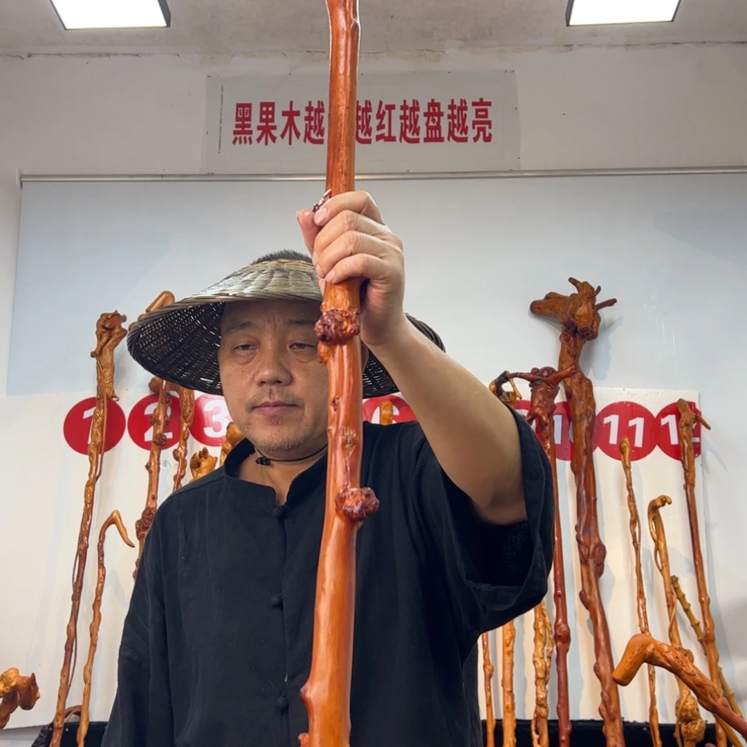 用***8黑果木其他黑果木262