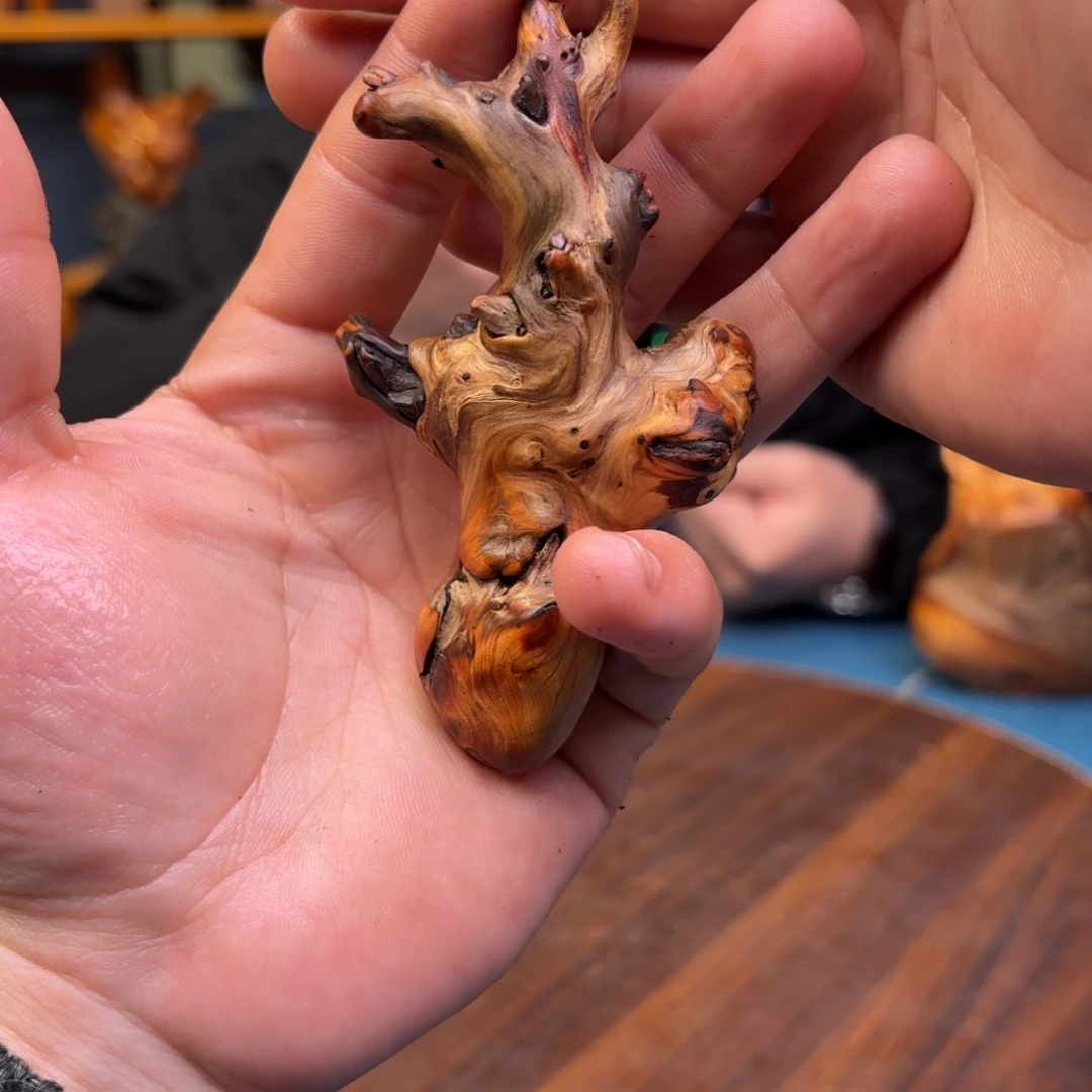 柏木（崖柏）太行崖柏