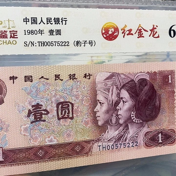 红金龙00575222，，，，，