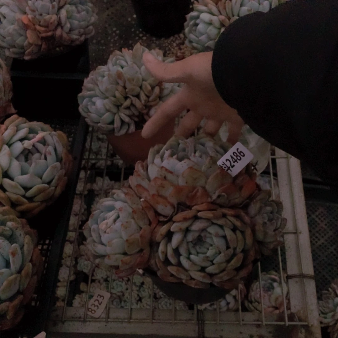 自****n2486多头一个小孩子在等待我时