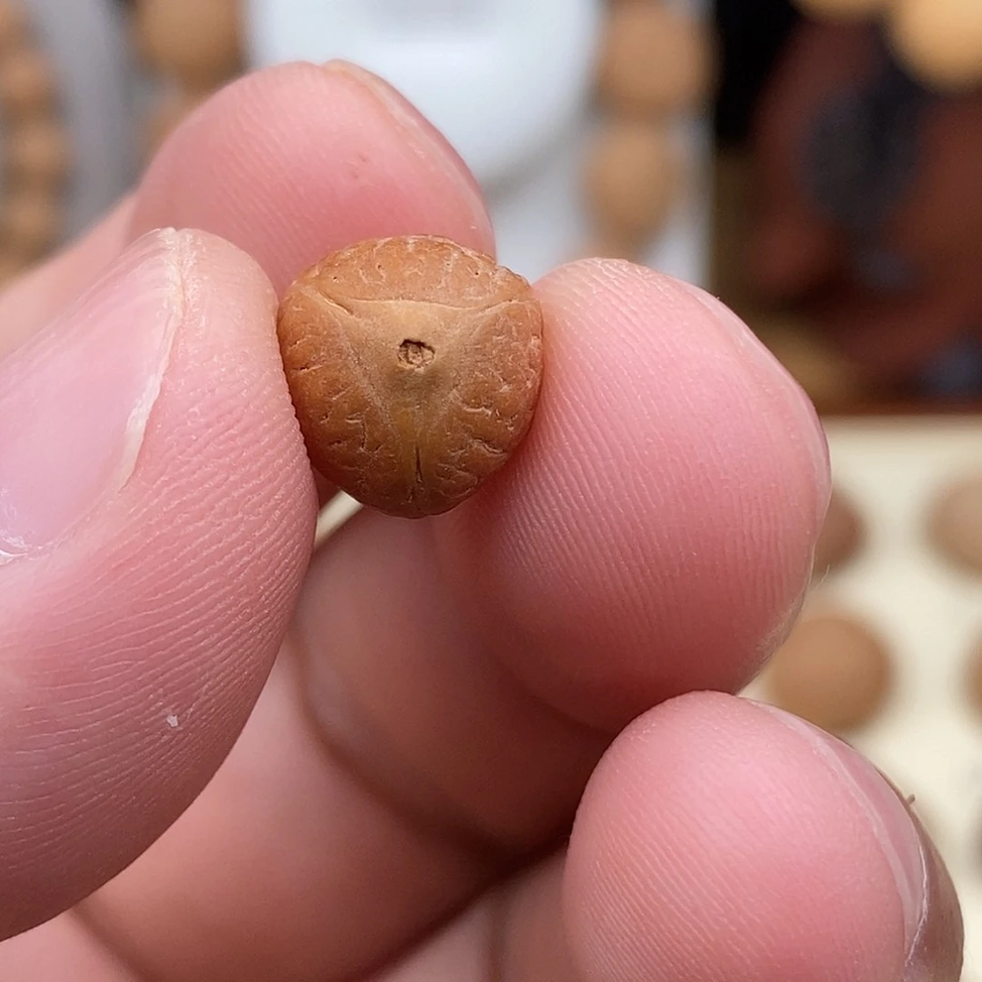 凤眼菩提吊坠10实心龙眼顶珠