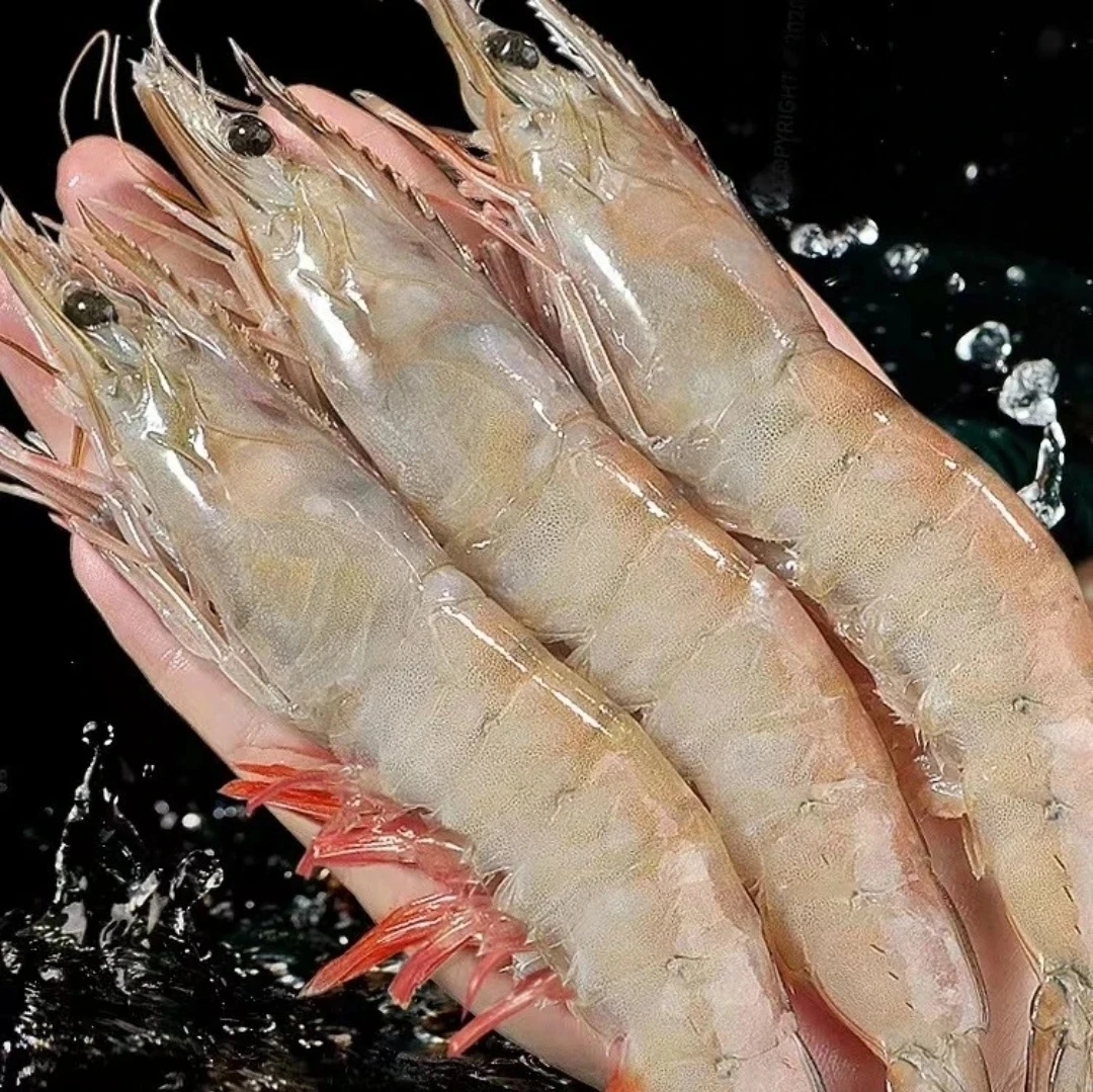 野生白对虾/明虾（1斤11-12只左右）2斤速冻后发货