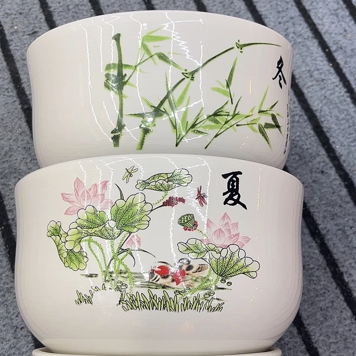 多肉植物陶瓷花盆