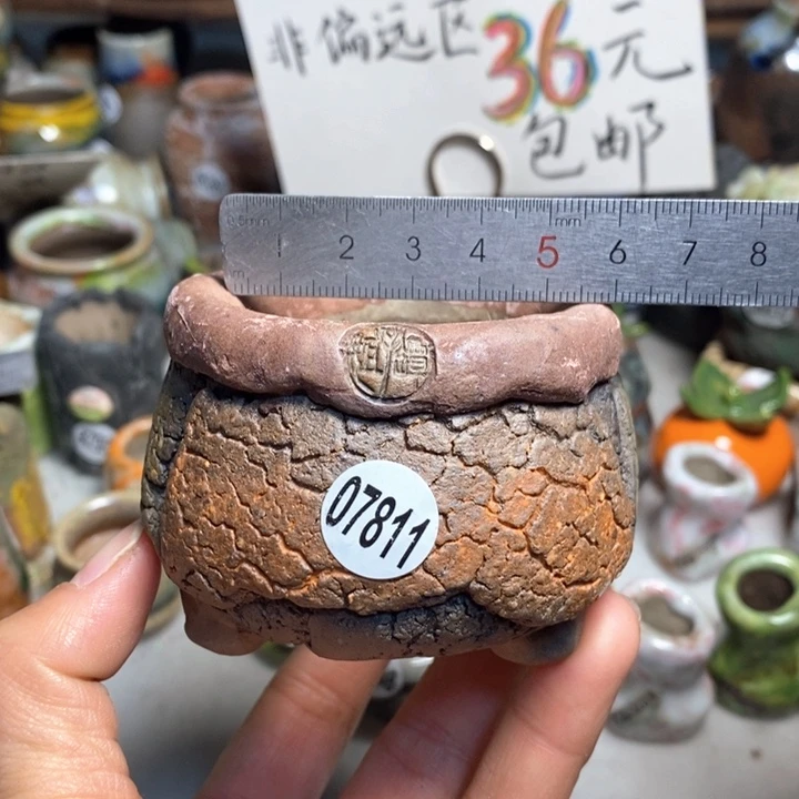 拍3送一个小礼物花盆