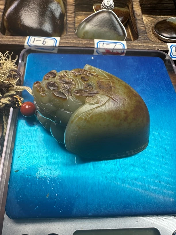 和田玉真皮真籽龙龟115克