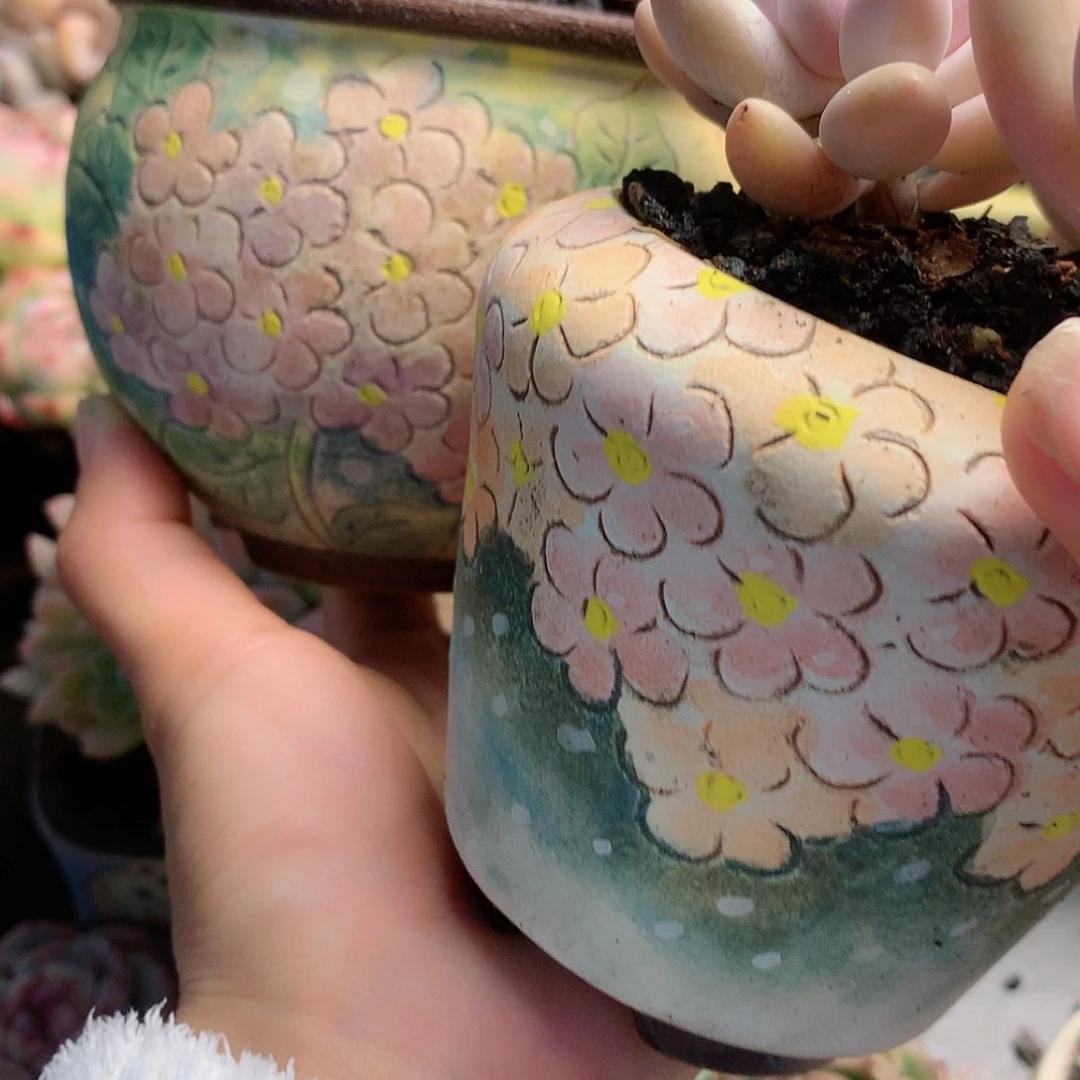 【闪购商品】小****～小婕盆2