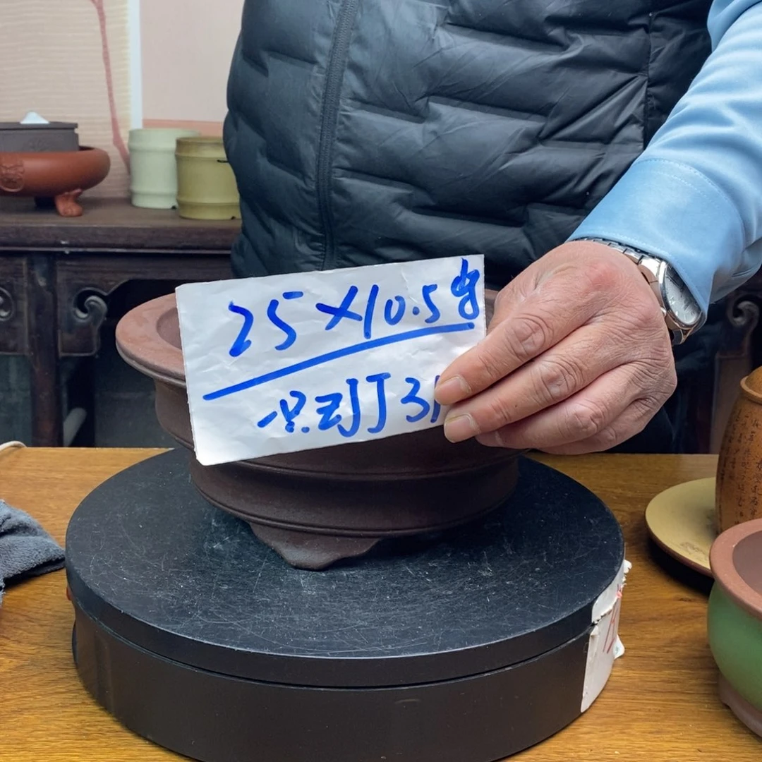 红陶货号一只ZJJ31