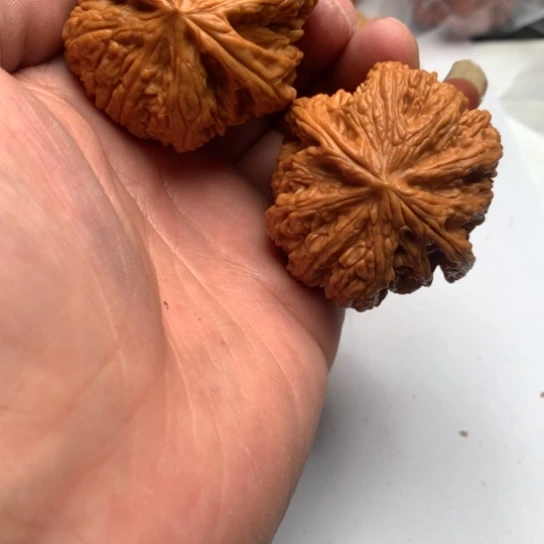 宋***野我的心好痛啊我的心真的很