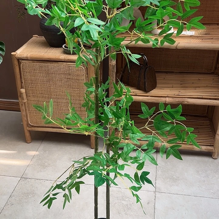 拍品大福利大福利大福利