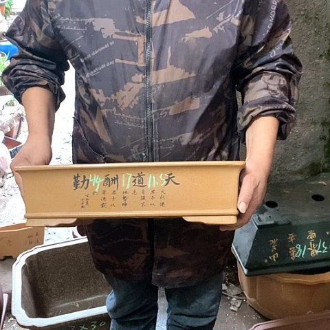 花盆紫砂手工定制