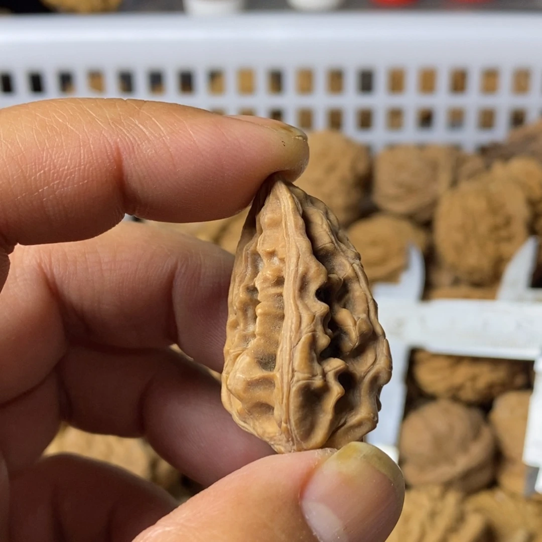 问***林大叶紫檀（黑酸枝木类）