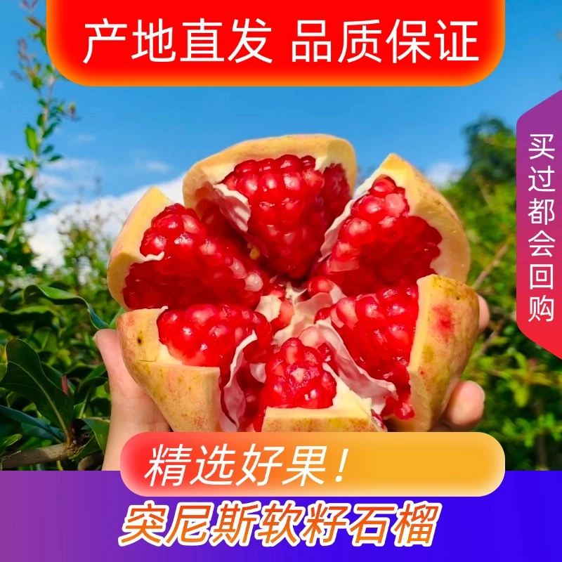 【精品果】云南大理宾川突尼斯软籽石榴新鲜采摘爆汁不吐籽