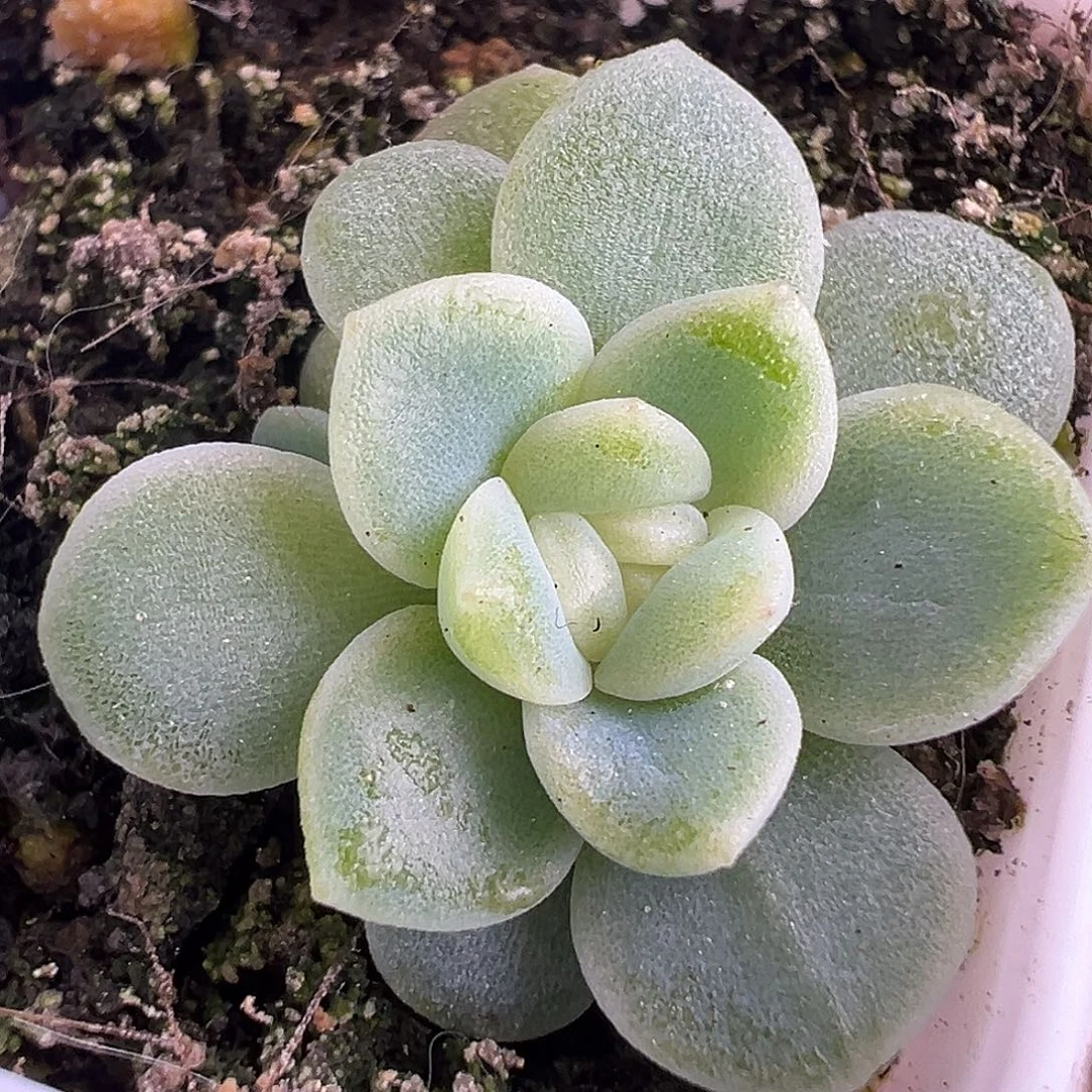 财富密码Ct。原价28