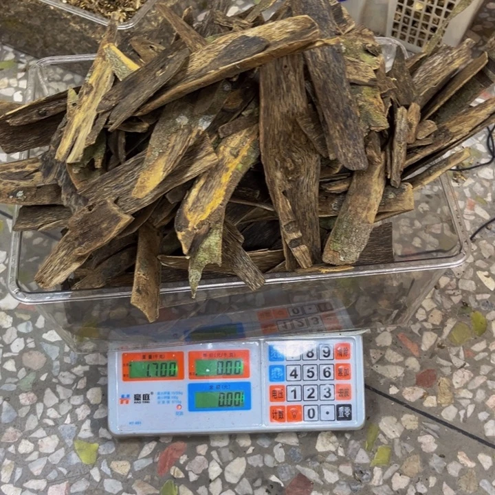 初***阳沉香沉香碎屑白棋1700