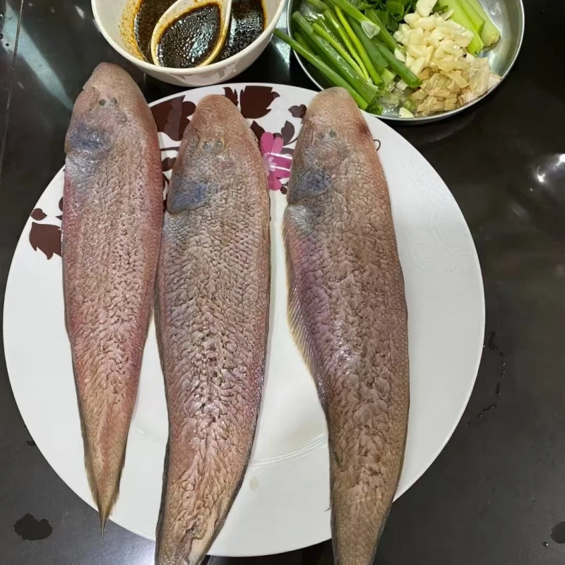 当季精选海鲜 龙舌套餐3包