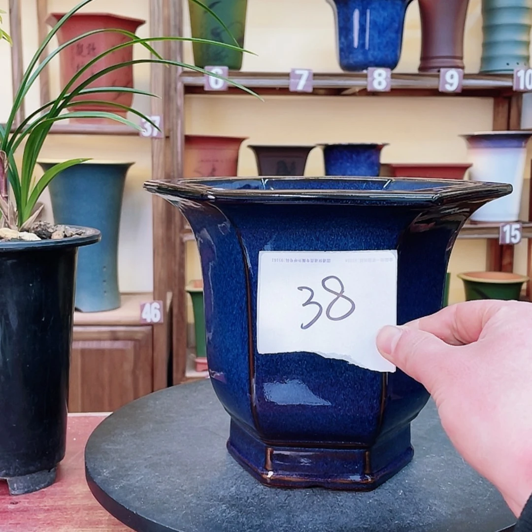 【闪购商品】紫砂花盆大*.兰花556236955568556669