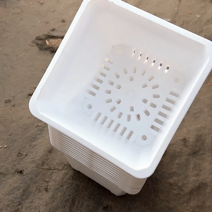 160白方盆15公分高11公分20个