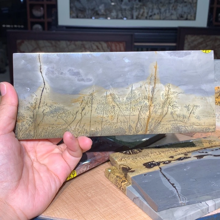 ，广西国画石摆件，收藏观赏