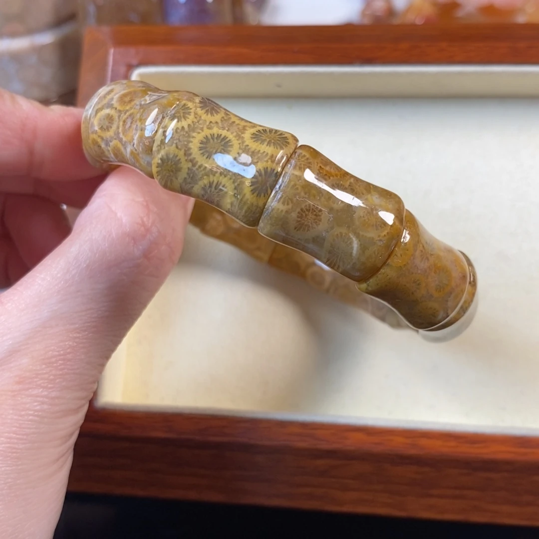 硅化珊瑚（珊瑚玉）未镶嵌手串99