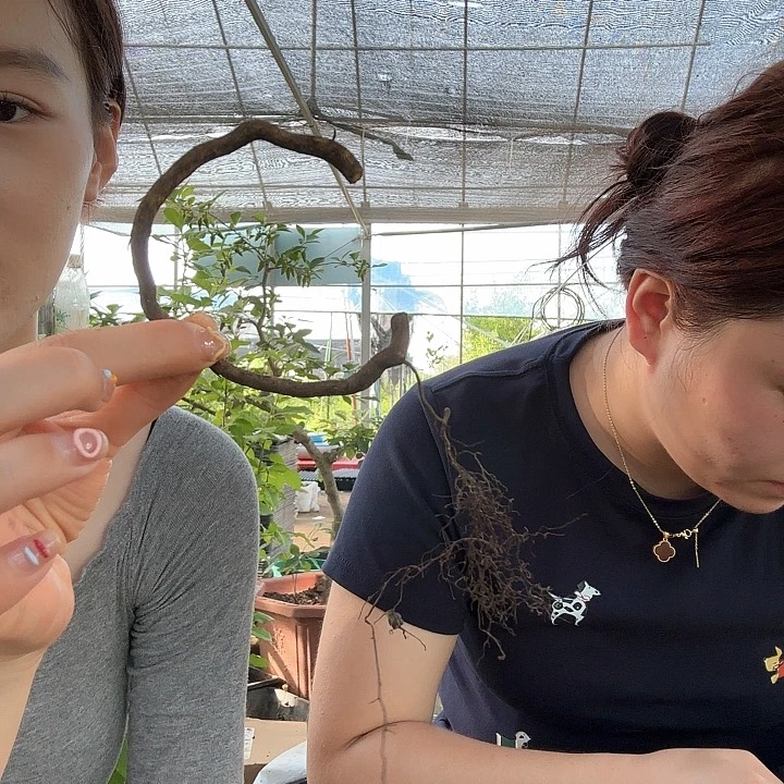 处*器未知心形哈哈哈哈哈